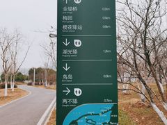 -金银湖国家城市湿地公园