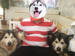 -李小姐の猫咖啡馆(五角场店)