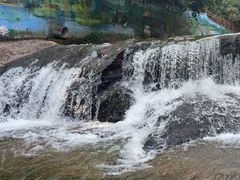 -广州白江湖森林公园