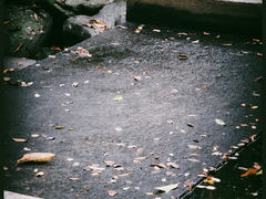 -马峦山郊野公园