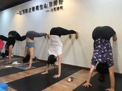 -兴亚瑜伽20年老馆