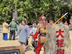 -大槐树寻根祭祖园
