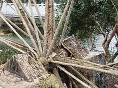 -天河潭旅游度假区