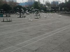 -陕西自然博物馆