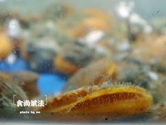 -质烤烤物·活烤海鲜(质烤总店)