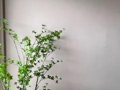 -爱上甜蜜蜜(田盛街店)