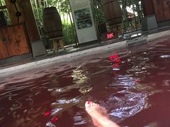 -天目湖涵田半山温泉