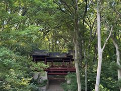 -紫霞湖公园