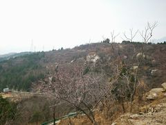 -白水寺森林公园