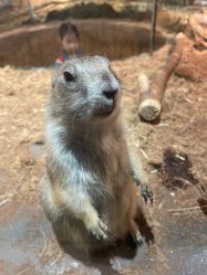 -Zoolung Zoolung动物主题公园(海信广场店)