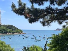 -海源公园