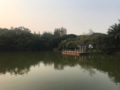 -四海公园(南山区)