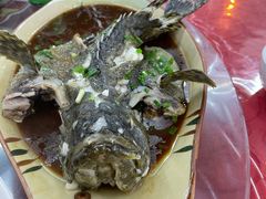 清蒸石斑鱼-三亚相缘海鲜·烧烤·糟粕醋(三亚湾店)