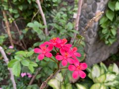-北京植物园-展览温室