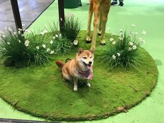-香港会议展览中心演讲厅