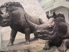 -大庆市博物馆