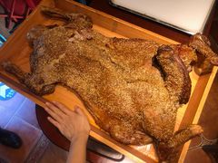 -九十九顶毡房(阜石路店)