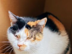 -转山咖啡(松柏社区店)