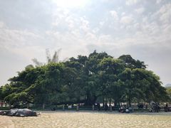 -生态苑农庄(十里画廊遇龙河店)