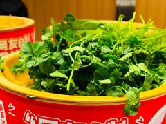 -龍歌自助小火锅(市南金茂湾店)