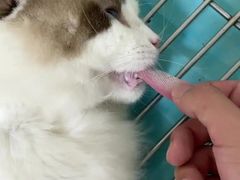 -中农国际动物医院24小时·猫科·骨科·急重症中心