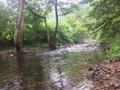 -水墨汀溪风景区