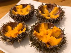 -海胆小馆(东北水饺·春柳店)