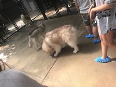 -TrueLove @ Neverland (Husky Cafe)