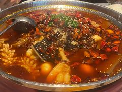 -望京辣宴·古法川菜(望京店)