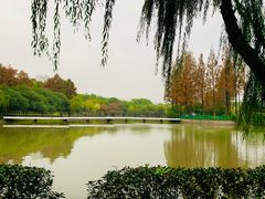 -黄兴公园