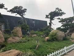 -罗红摄影艺术馆