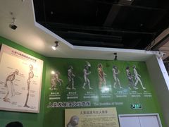 -辽宁古生物博物馆