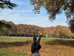 -河南省黄河迎宾馆