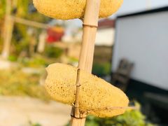 -丝绸小镇荻港古村