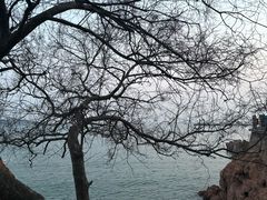 -青岛第一海水浴场