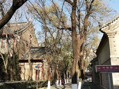 -山东大学(趵突泉校区)