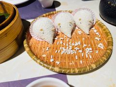 -点都德·毕德寮