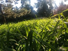 -玲珑塔公园