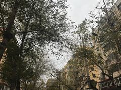 -报业大厦游泳馆