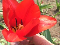 -长春公园(普阳街道)