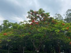 -三水森林公园