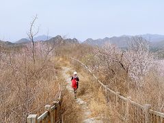 -妙峰山风景名胜区