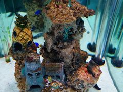 -太平洋海底世界