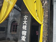 -大槐树寻根祭祖园