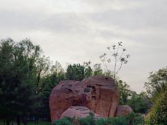 -森林公园(尖草坪区)