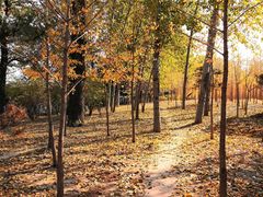 -中关村生命科学园