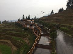 -紫鹊界梯田景区