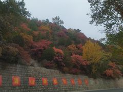 -玉渡山自然风景区