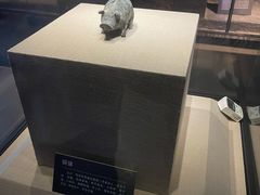 -亳州博物馆