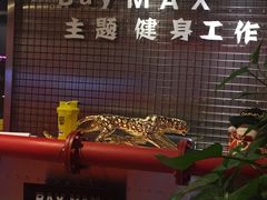 -炼呗运动康复·健身工作室(紫竹桥店)